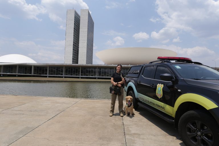 Concurso Câmara dos Deputados de policial aceita tecnólogo? Veja!